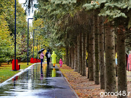 В Липецкой области дождливо, ветрено и до +10