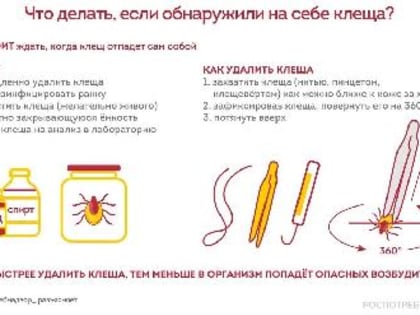 Клещи атакуют !