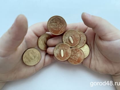 Добринец задолжал по алиментам на содержание дочери более 200 тысяч рублей