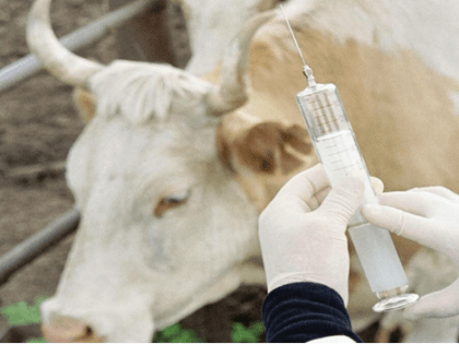 ПРОФИЛАКТИКА СИБИРСКОЙ ЯЗВЫ