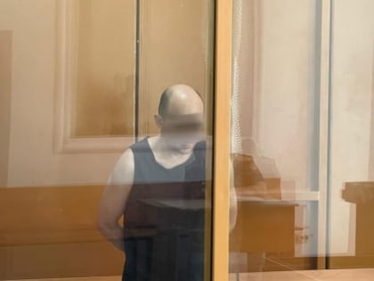 Липчанина, убившего девушку из Волгоградской области, хотят лечить