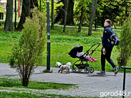 В Липецкой области дожди пройдут только ночью