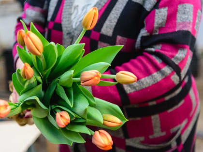 Липецкий «Зеленхоз» вырастил тюльпаны к женскому празднику