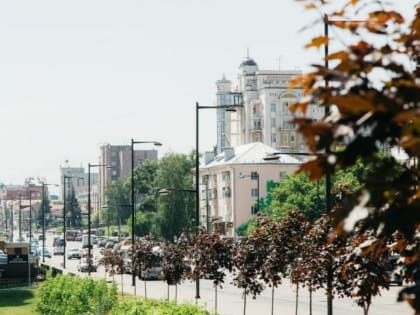 В Липецке посадят 401 новое дерево