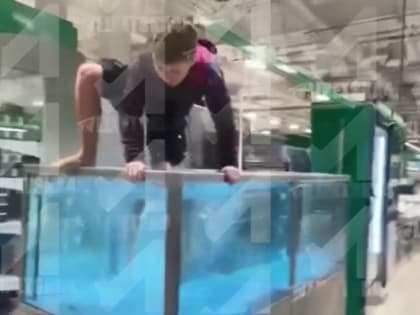 В Липецке ребенок ради хайпа и красивых фото едва не утонул в аквариуме