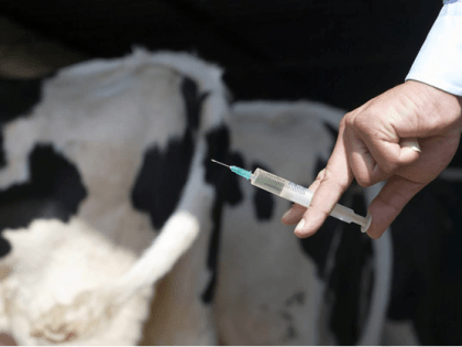 ПРОФИЛАКТИКА СИБИРСКОЙ ЯЗВЫ