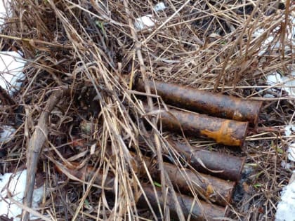 Пять снарядов времен Великой Отечественной нашли под Липецком после празднования Нового года