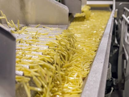 Картофель фри в Липецкой области будут производить в два раза больше