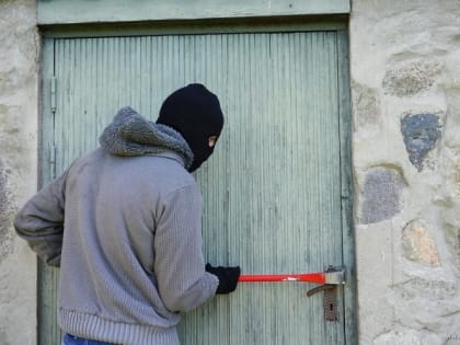 Под Лебедянью обокрали дом