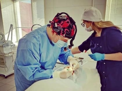 ПОЧЕМУ ВАЖНО ПРОВЕРЯТЬ РОДИНКИ?