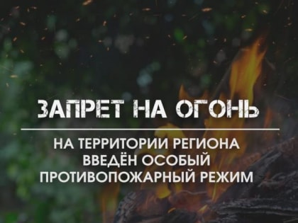 На территории региона введён особый противопожарный режим
