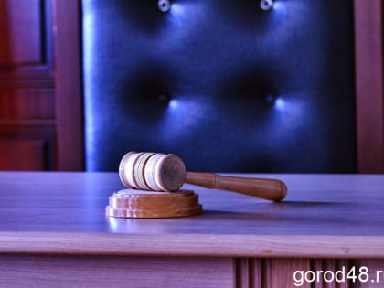 В Липецкой области арестованы мужчина и женщина за сексуальные действия в отношении ребенка