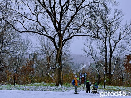 В Липецкой области – ночью заморозки до -4