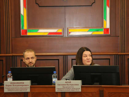 Депутаты горсовета предлагают расширить губернаторскую программу видеонаблюдения по просьбам жителей