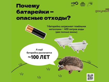 Опасное наследие: как батарейки угрожают экосистеме