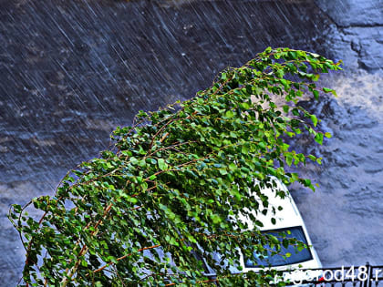 В Липецкой области днем небольшие дожди и до +24