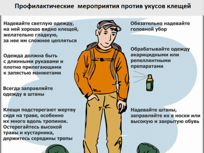 О наступлении сезона активности клещей