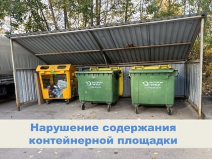 Нарушения в содержании контейнерной площадки в Липецке
