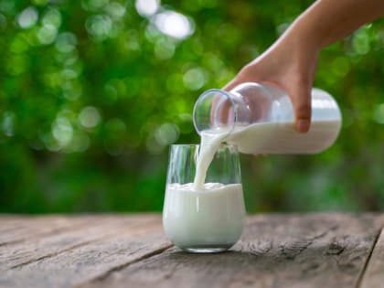 Молока в Липецкой области стало больше