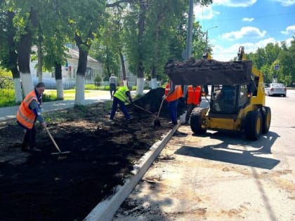 Газоны приведут в порядок