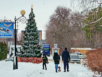 В Липецкой области продолжатся сильные порывы ветра, снег и метель