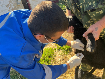 ОСОБО ОПАСНАЯ БОЛЕЗНЬ