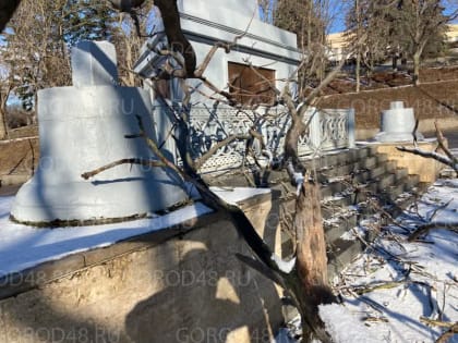 Сотрудники «Зеленхоза» освободят стелу Петру Первому от упавшего дерева