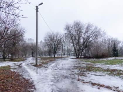 3 января в Липецке вновь аномально тепло и небольшой дождь