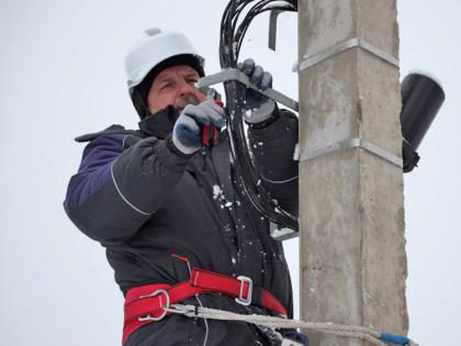 Сегодня в Липецке: День полярного медведя, подвиг липецких пограничников и как выбрать автосервис