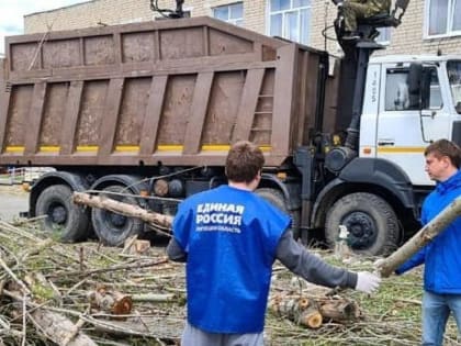 Лебедянские единороссы помогли опилить деревья