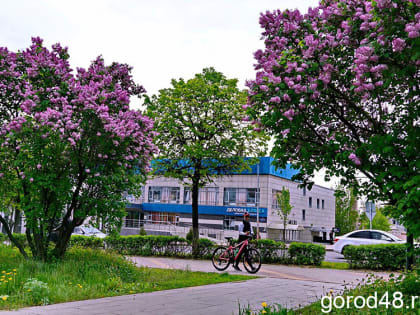 В Липецкой области небольшие дожди и до +25