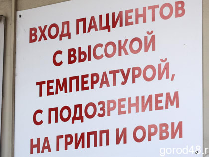 За неделю в Липецкой области выявили 50 случаев гриппа