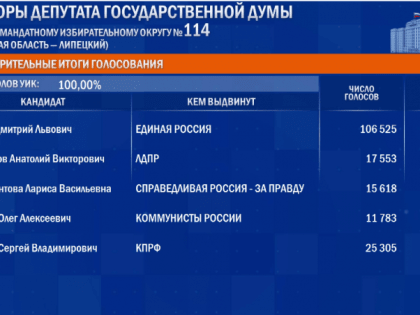 Депутатом Госдумы избран Дмитрий Аверов