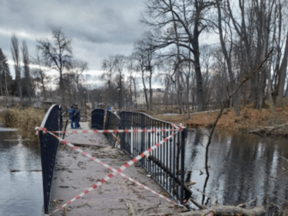 В Липецкой области шквалистый ветер наломал дров на 400 000 рублей