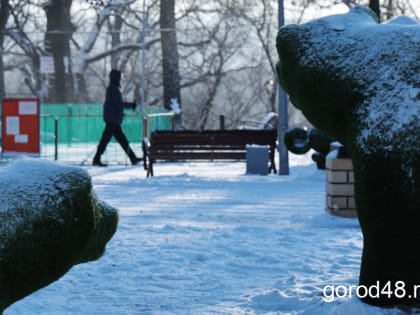 В Липецкой области безветренно и до -16