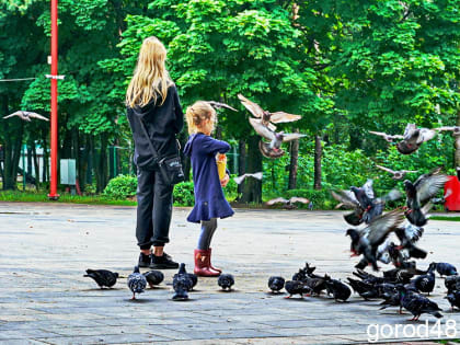 В Липецкой области завтра до +22