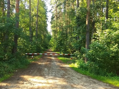 В регионе введено ограничение на посещение лесов