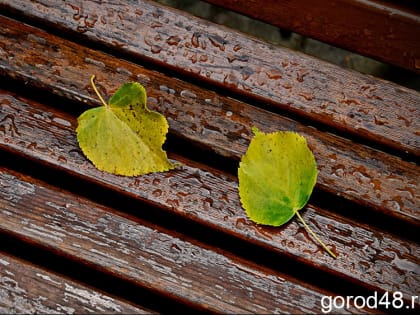 Осень все ближе: завтра дожди и до +24