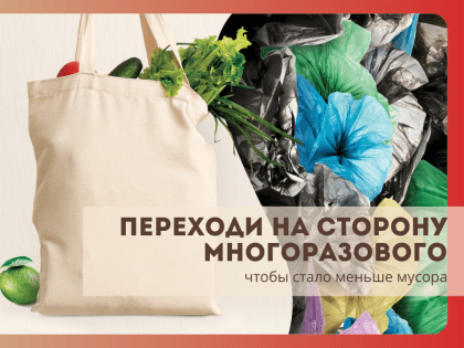 Одноразовая культура: угроза экологии и здоровья