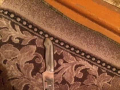 Под Липецком ревнивец убил гостя ножом и сдался полиции