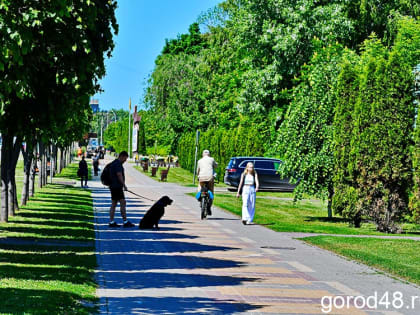 Липчан спросят о качестве медицинских и образовательных услуг