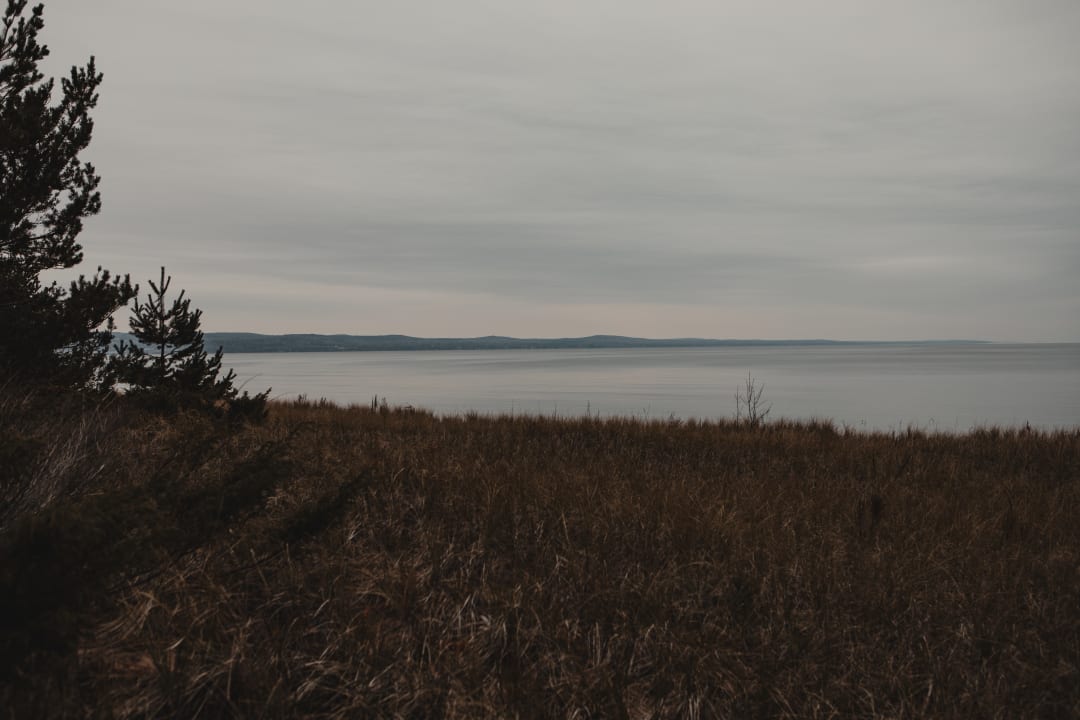 Golden shoreline grasses in front of Lake Superior and a distant treeline