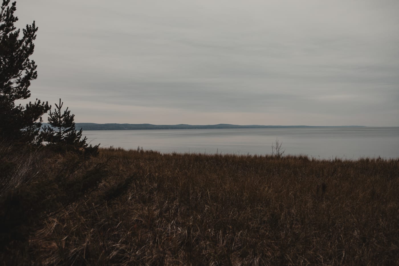Golden shoreline grasses in front of Lake Superior and a distant treeline