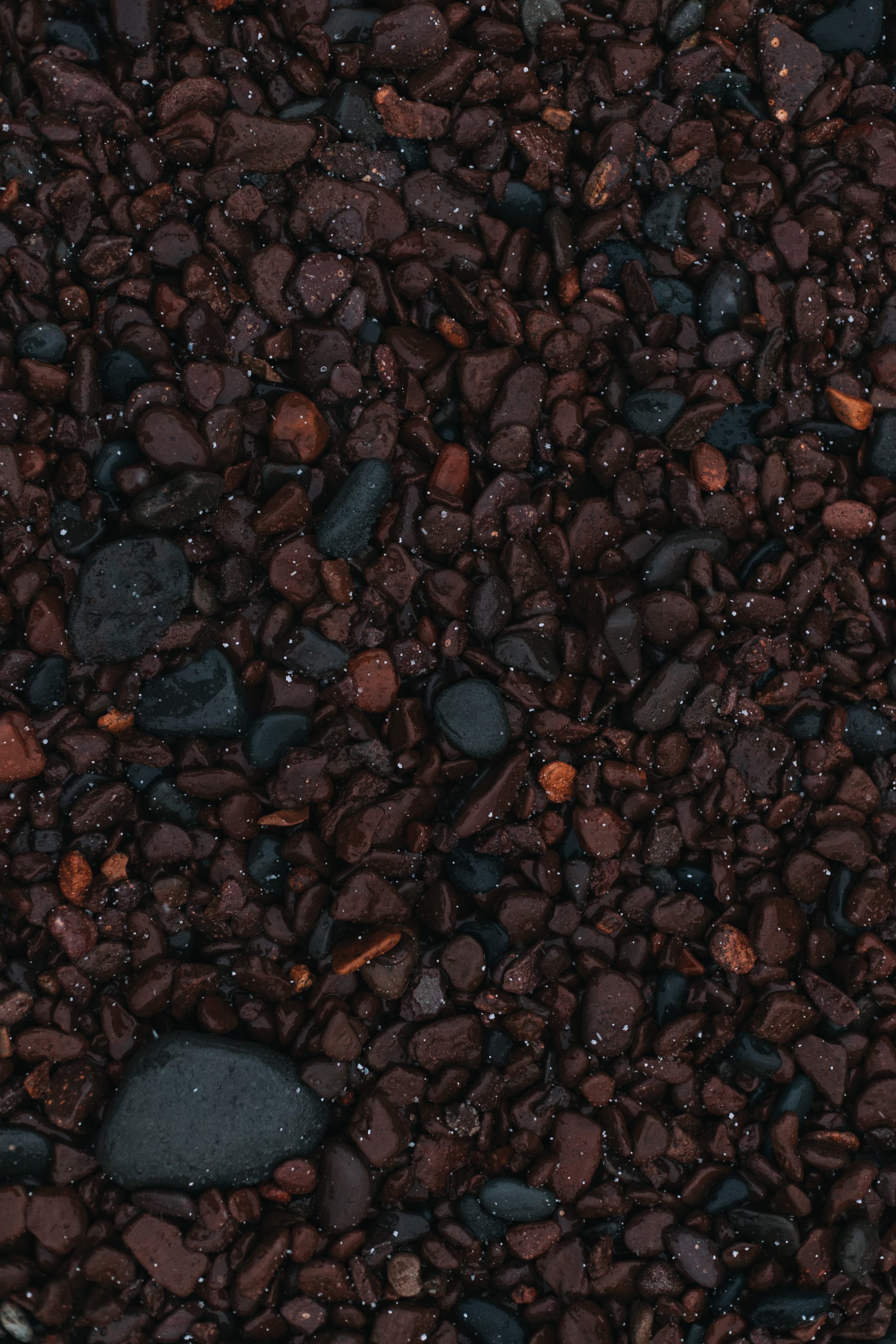 Wet, multicolored North Shore pebbles in close detail