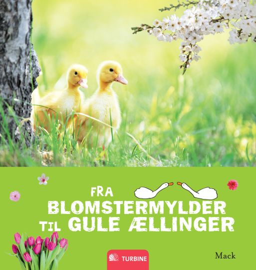 Fra blomstermylder til gule ællinger