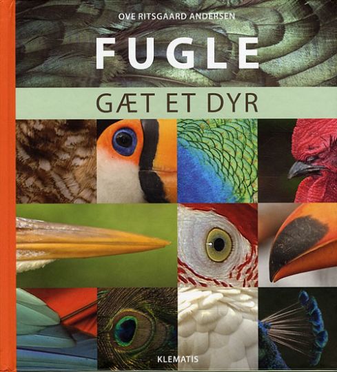 Fugle