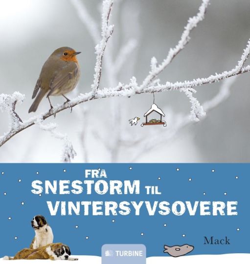 Fra snestorm til vintersyvsovere