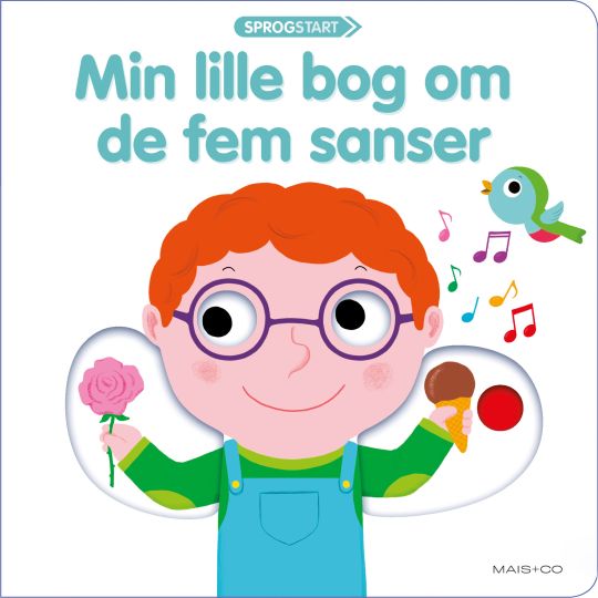 Min lille bog om de fem sanser