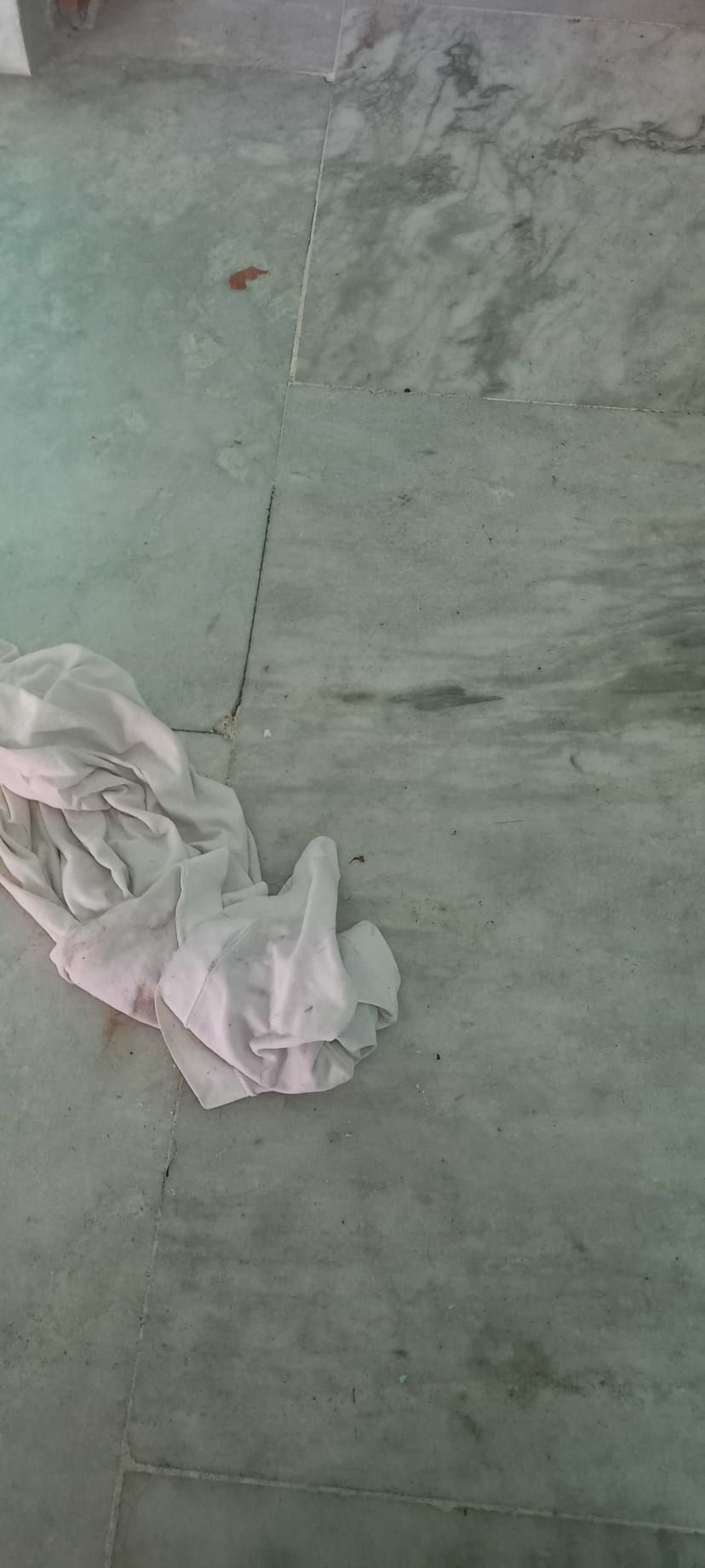 an image of something