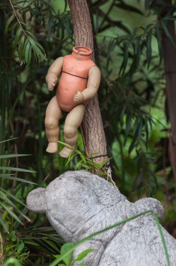 A doll hanging from a tree on the Island on Island of the Dolls.